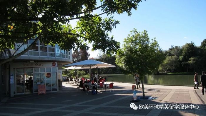 新西蘭大學排名,新西蘭懷卡托大學 新西蘭大學排名,新西蘭懷卡托大學