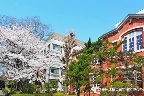 日本本科留学,赴日本本科留学途径
