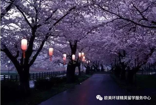 日本留学申请,去日本留学条件