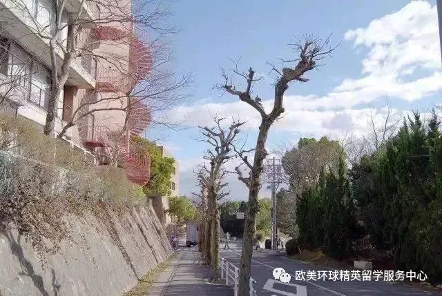 日本留学申请,日本留学中介