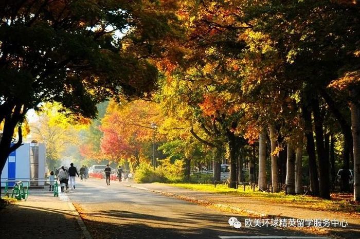 北海道大學留學申請,北海道大學錄取條件