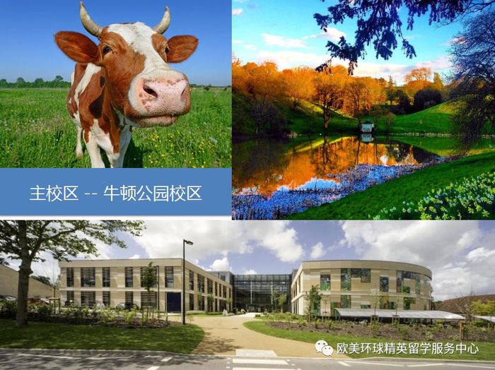 巴斯斯巴大学留学申请材料,巴斯斯巴大学留学要求 巴斯斯巴大学留学申请材料,巴斯斯巴大学留学要求
