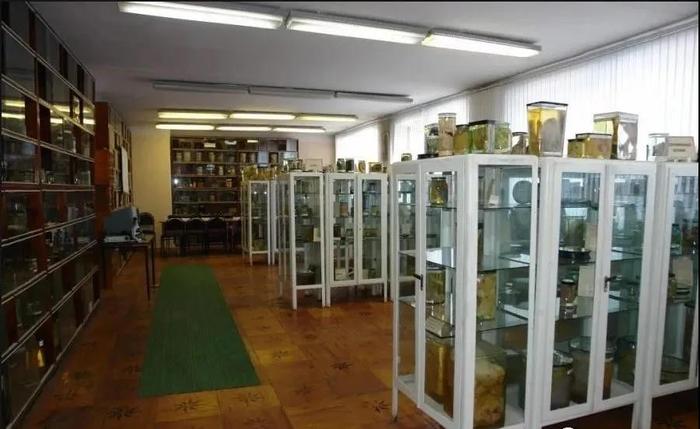 俄罗斯留学留学条件,出国留学