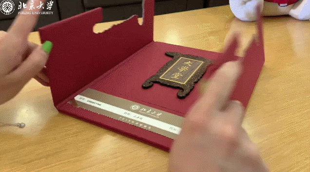 北京大学录取通知书