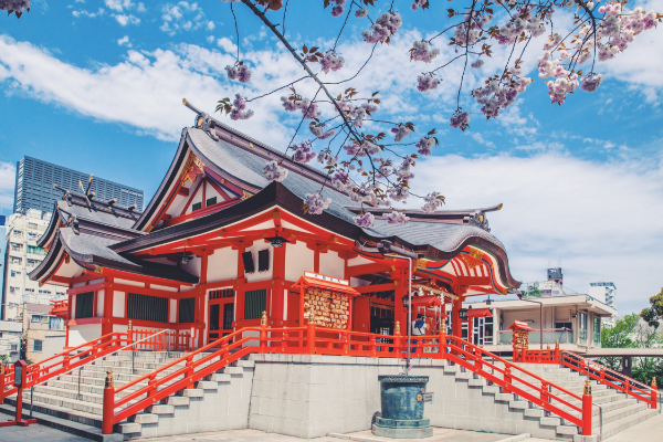 日本留学SGU全英文授课项目,日本留学