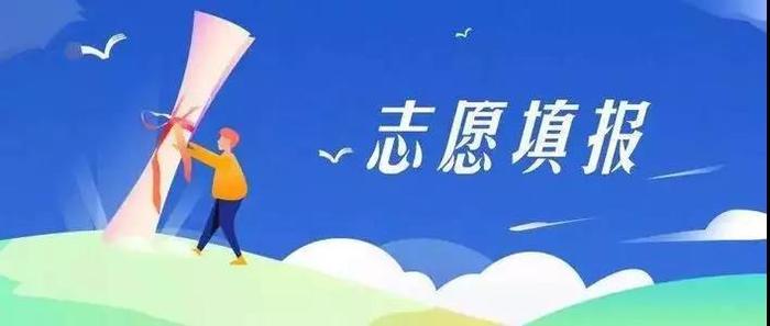 高考志愿,填报高考志愿