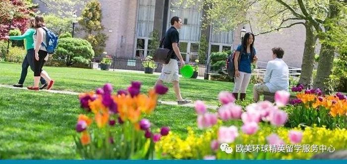 上海美国留学,美国留学咨询,海外留学网 上海美国留学,美国留学咨询,海外留学网