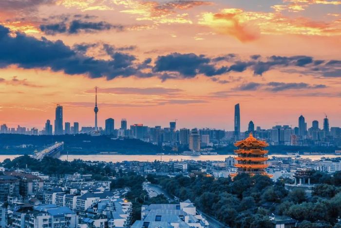 高考志愿填报技巧,怎样填报高考志愿