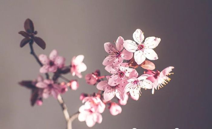 海外艺术留学