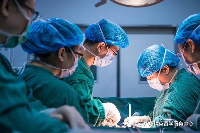 医学专业,高考志愿填报时间