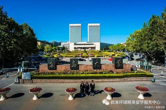 青岛大学,高考志愿填报