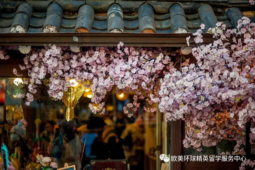 2021年韩国留学数据,2021年韩国留学