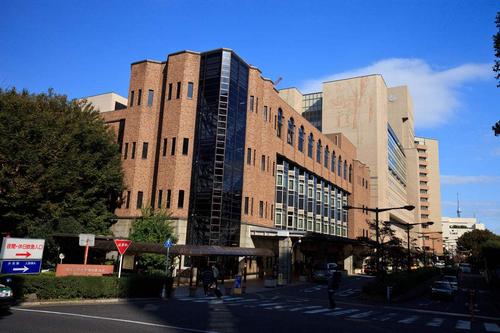 文化女子大学,武藏野美术大学,东京造型艺术大学
