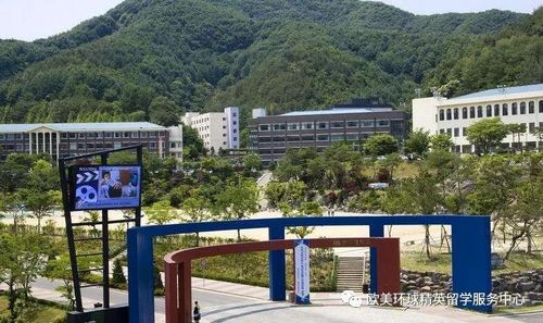 2021年 韩国中部大学招生简章