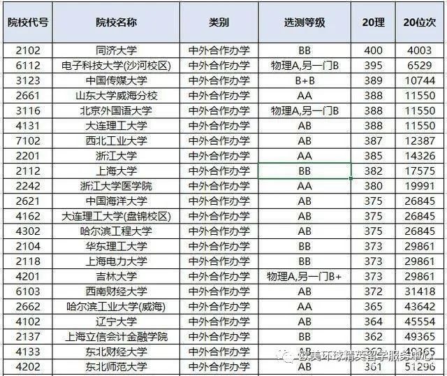 中外合办大学,中外合办专业