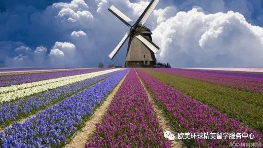 出国留学服务,出国留学