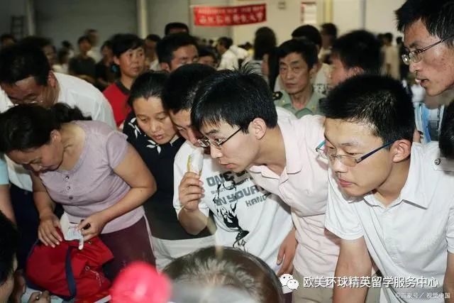 高考志愿,高考志愿填报