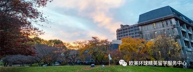 新西兰坎特伯雷大学,新西兰艺术类专业