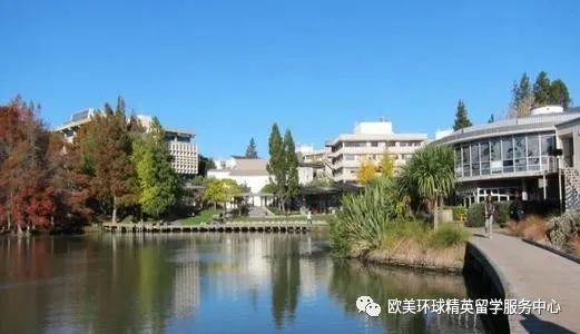 新西兰艺术院校,新西兰艺术留学