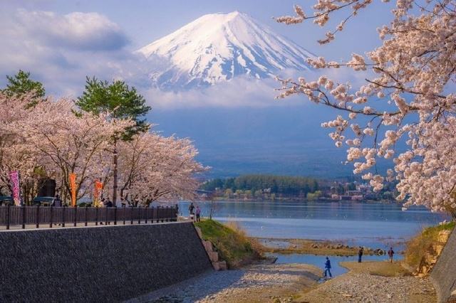 日本留学,申请日本留学
