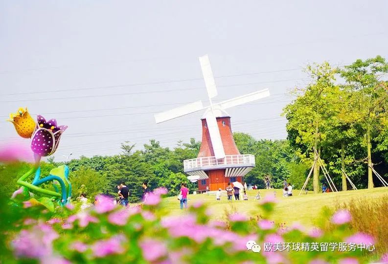 荷兰留学申请攻略,荷兰留学申请