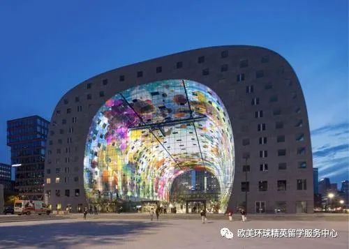 荷兰艺术留学专业,荷兰艺术留学院校