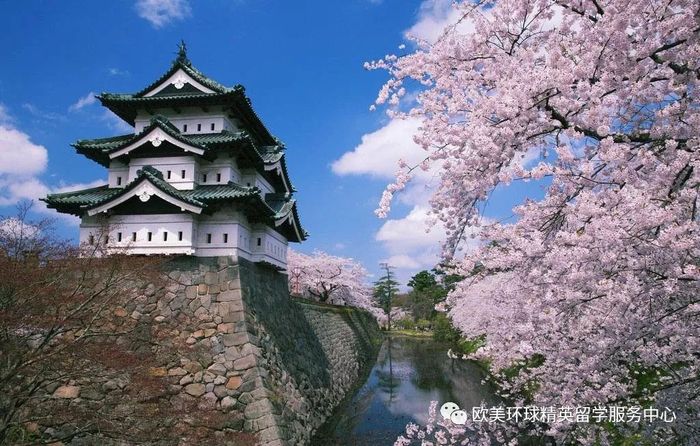 日本机械工程专业排名,日本机械工程专业大学排名