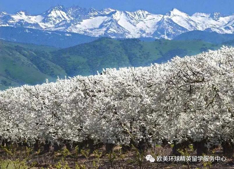 美国私立高中圣华金纪念高中
