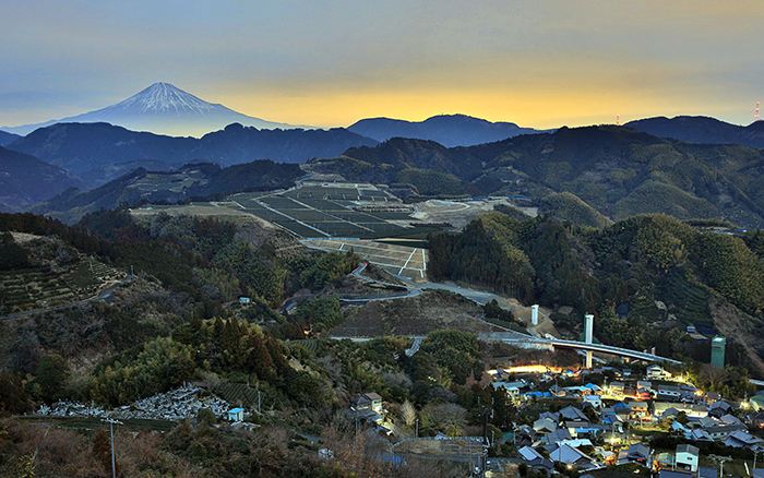 海外留学,藤享公司