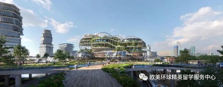 荷兰海牙大学留学要求,荷兰海牙大学留学专业 荷兰海牙大学留学要求,荷兰海牙大学留学专业