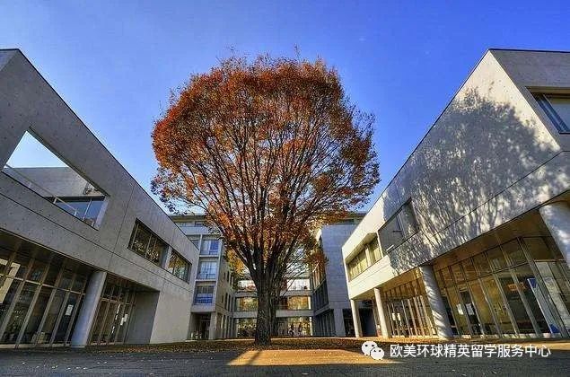 日本留学机构,为什么选择日本留学,日本留学费用