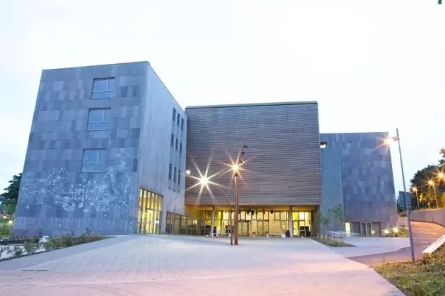 爱尔兰大学排名