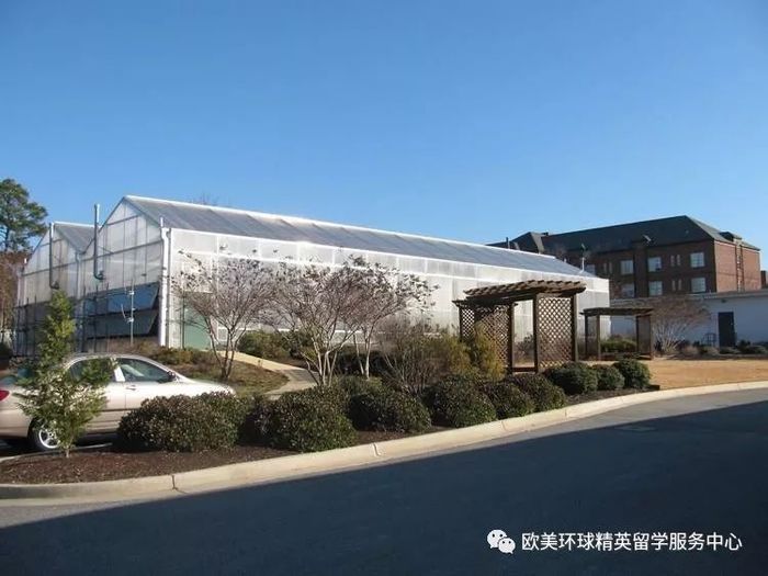 出国留学,海外留学,欧美留学 出国留学,海外留学,欧美留学