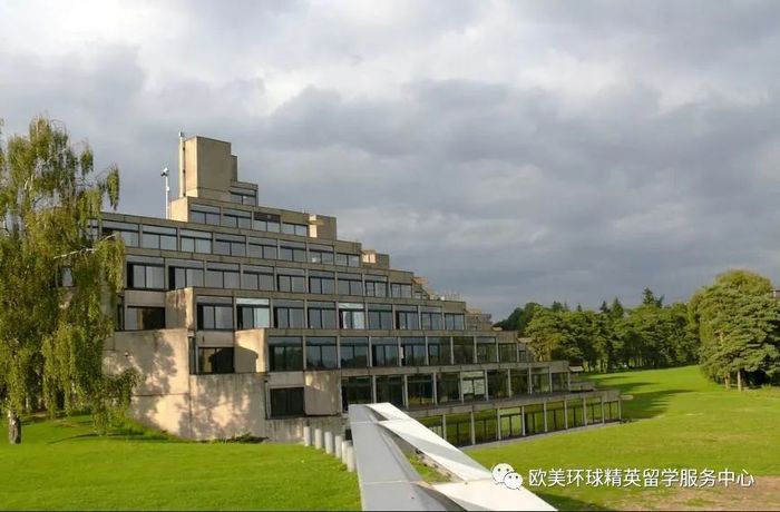 纽卡斯尔大学,卡迪夫大学,东英吉利大学