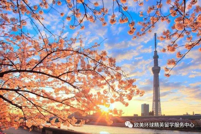 日本留学,日本留学申请规划