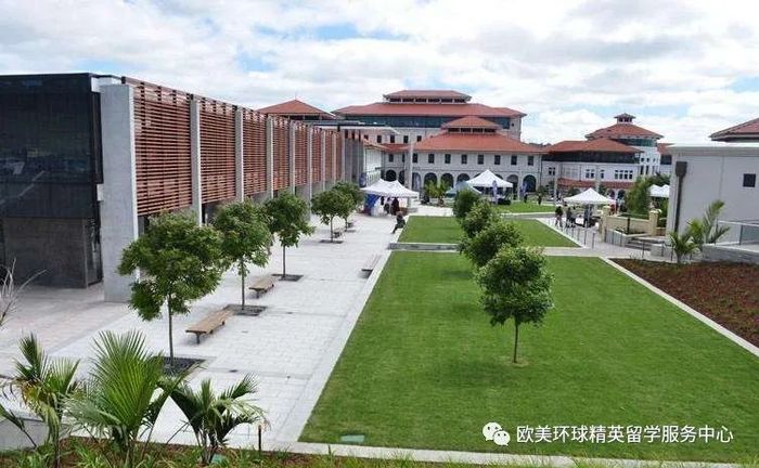 梅西大学本科课程专业,梅西大学研究生课程专业 梅西大学本科课程专业,梅西大学研究生课程专业