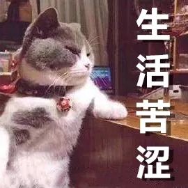英国留学,英国留学申请