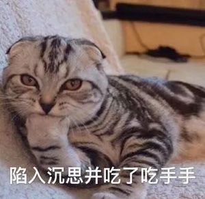 出国留学条件