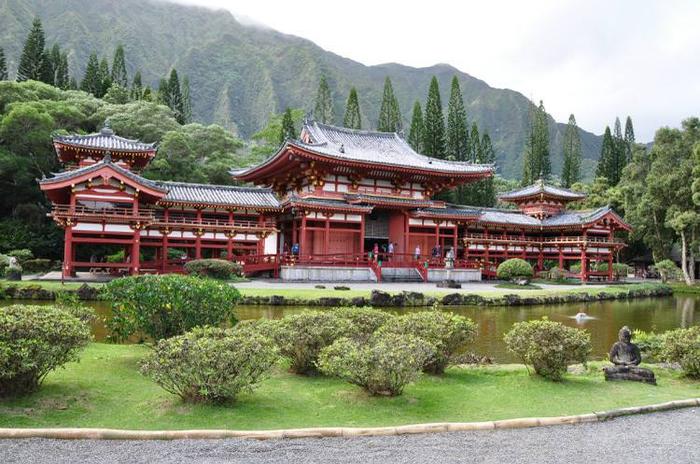 日本留学