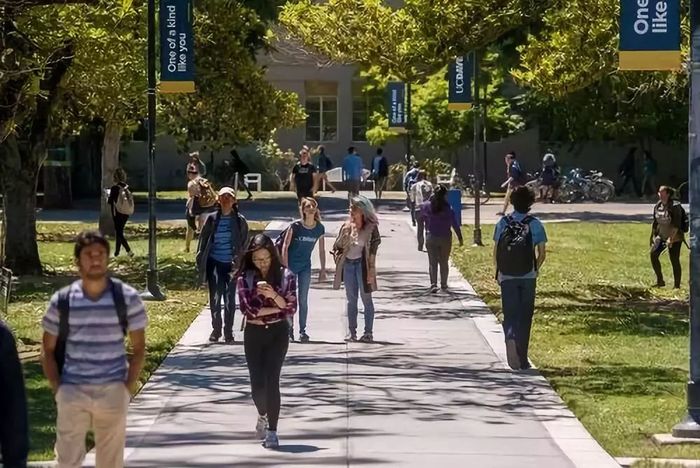 2019加州大学权威录取分析,出国留学