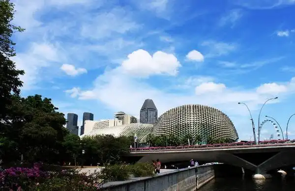 新加坡知名院校,新跃大学专业