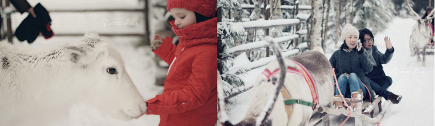 感受“芬”式教育，领略北欧风光——2023芬兰亲子研学冬令营