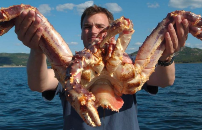 感受“芬”式教育，领略北欧风光——2023芬兰亲子研学冬令营