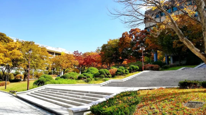 韩国留学申请,,韩国留学