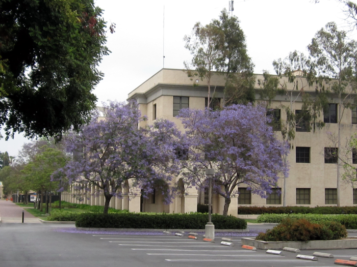 美国留学院校加州理工学院排名 美国留学院校加州理工学院排名