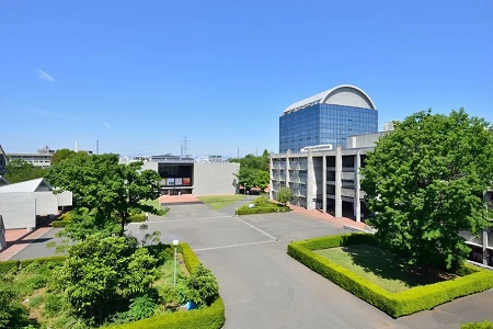 去日本留学专业,去日本留学艺术留学