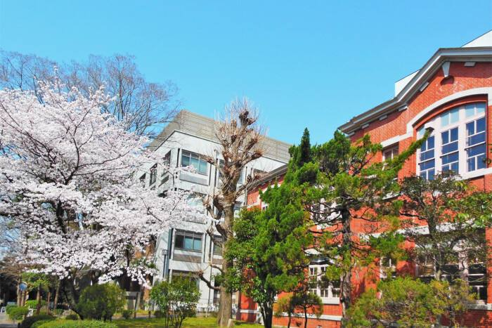 日本艺术留学专业,日本艺术留学摄影专业