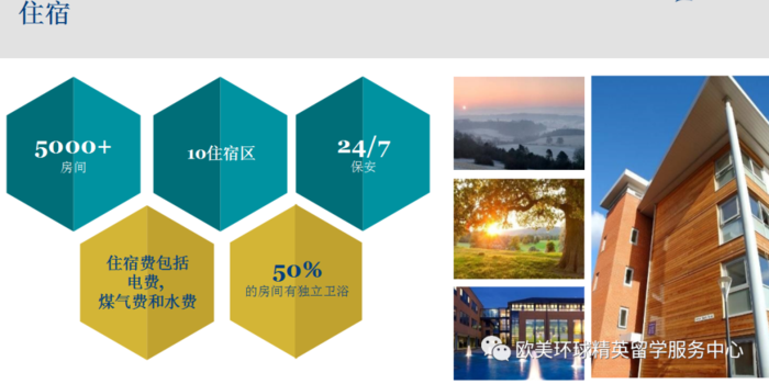 萨里大学留学生活,萨里大学优势专业
