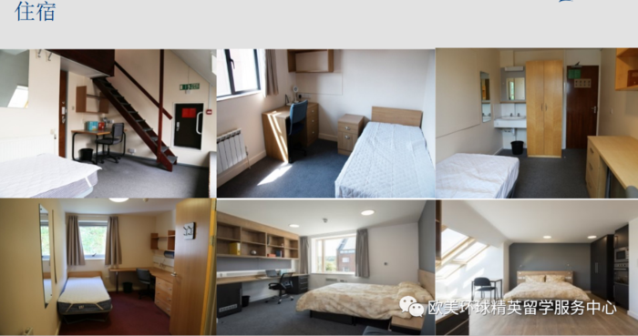 英国留学院校,萨里大学留学生活6