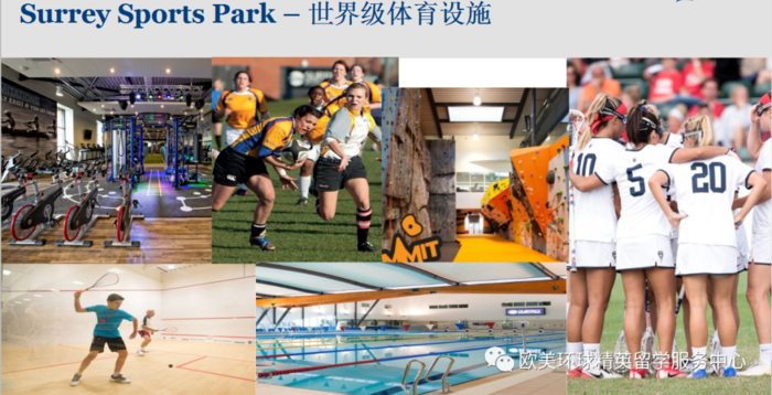 英国留学院校,萨里大学留学生活1